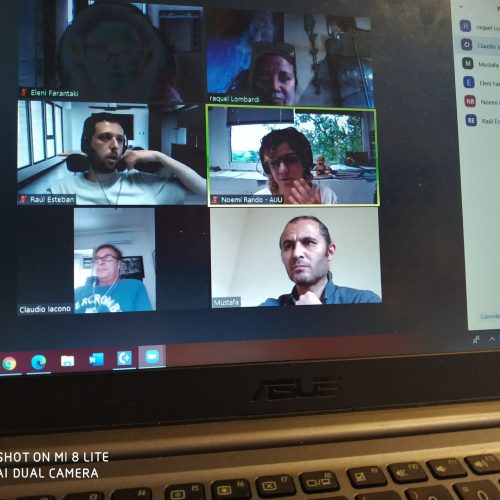 online meeting - 17 june (1)